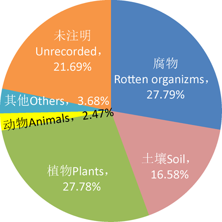 圖片關鍵詞